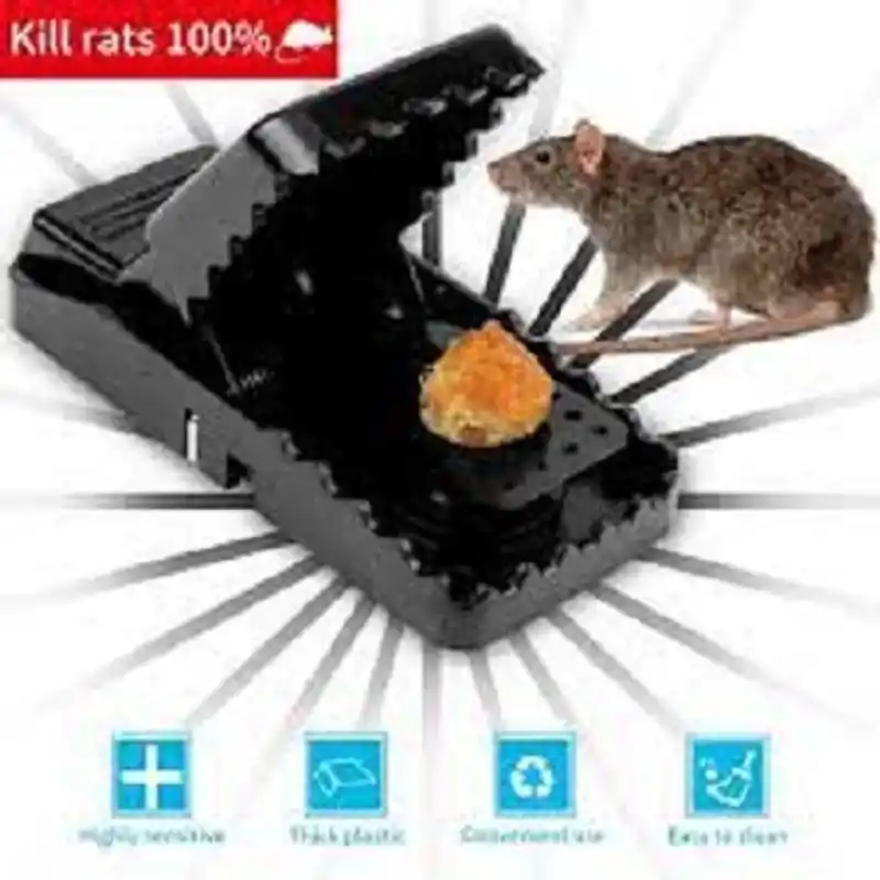 Mouse Killer Trap (5×3×3 inches)